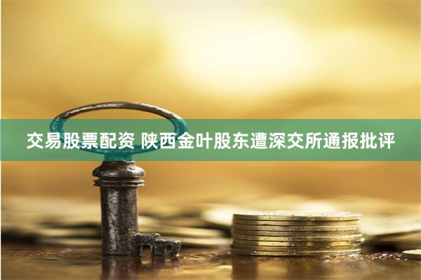 交易股票配资 陕西金叶股东遭深交所通报批评