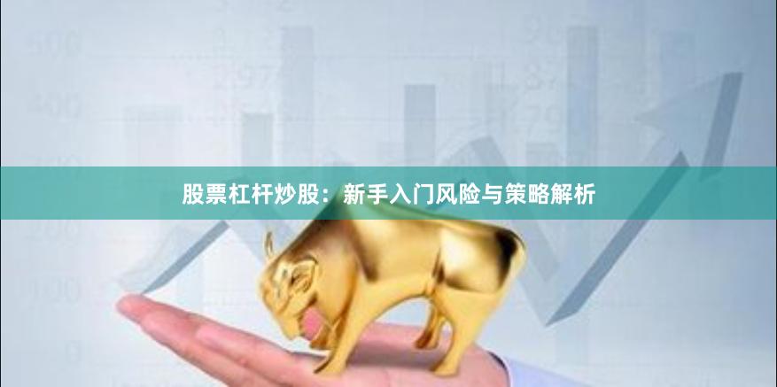 股票杠杆炒股：新手入门风险与策略解析